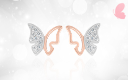 Papillon Collection
